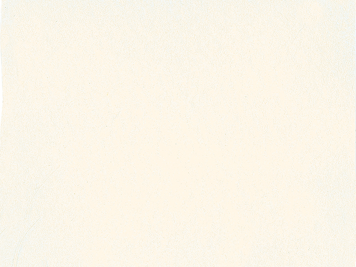 Schmincke, Akademie Aquarell, 1/2 Pans